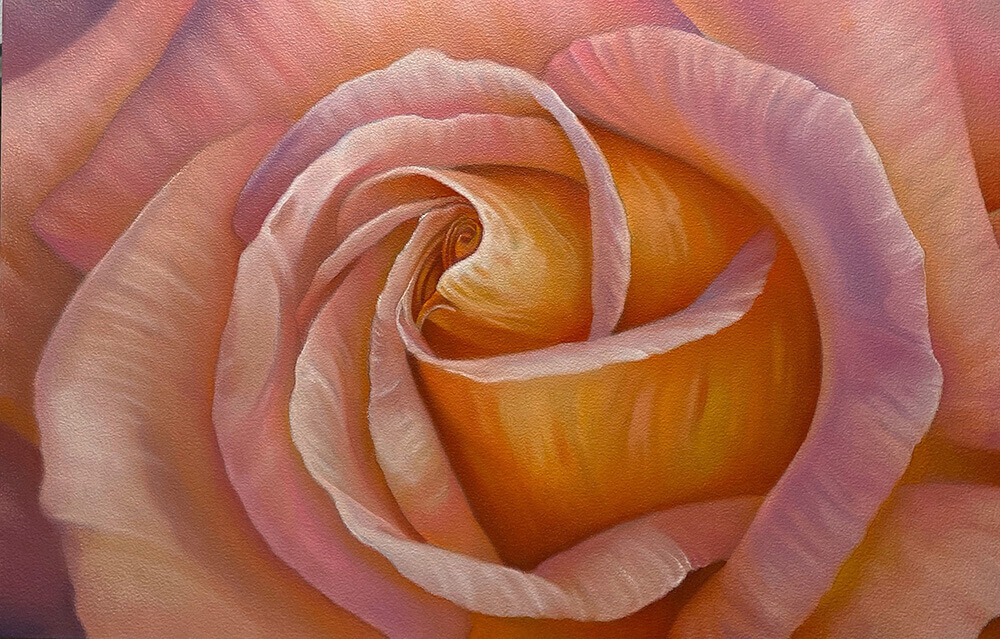 “Peach Rose”  - James Hall Creative