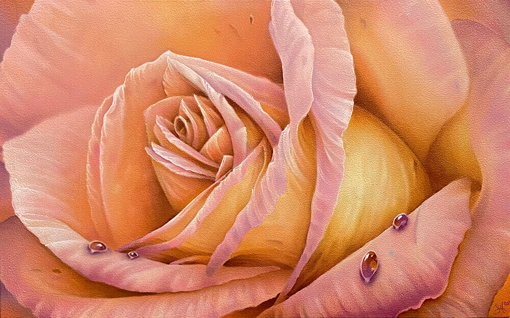 “Peach Rose 2”  - James Hall Creative