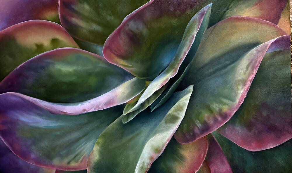 "Succulent Abstraction" - James Hall Creative